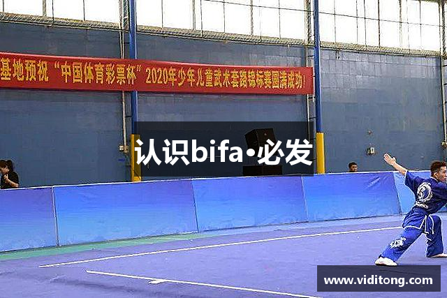 认识bifa·必发